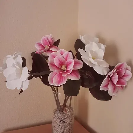 En Casa Holiday home